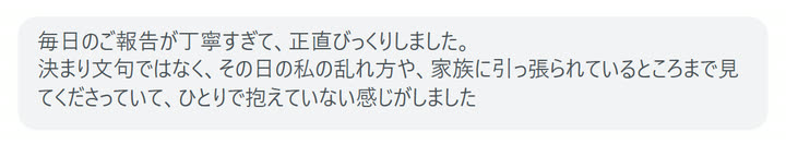 毎日のご報告が丁寧すぎて、正直びっくりしました。
決まり文句ではなく、その日の私の乱れ方や、家族に引っ張られているところまで見てくださっていて、ひとりで抱えていない感じがしました